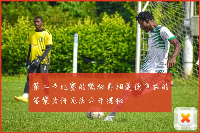第二节比赛的隐秘真相爱德华兹的答案为何无法公开揭秘